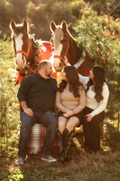 Cremeans Clydesdale Christmas 2025