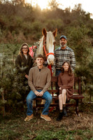 Crossman - Clydesdale Christmas 2025