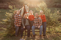 Heather Stumbo - Clydesdale Christmas 2025
