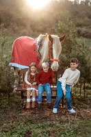 Jordan - Clydesdale Christmas 2025