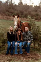 Heather Austin - Clydesdale Christmas 2025