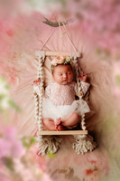 Newborn Sessions